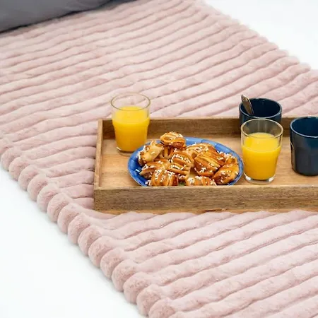 Spacieux De Standing Avec Jardin 아파트 아이레수르라리스